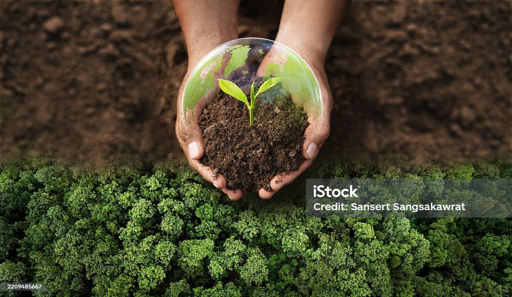 Community development